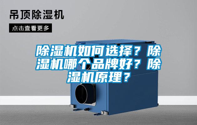 除湿机如何选择？除湿机哪个品牌好？除湿机原理？