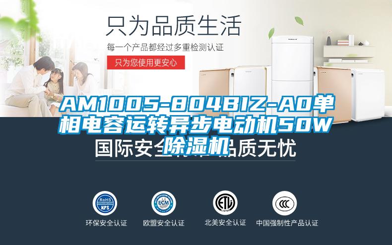 AM1005-804BIZ-A0单相电容运转异步电动机50W除湿机