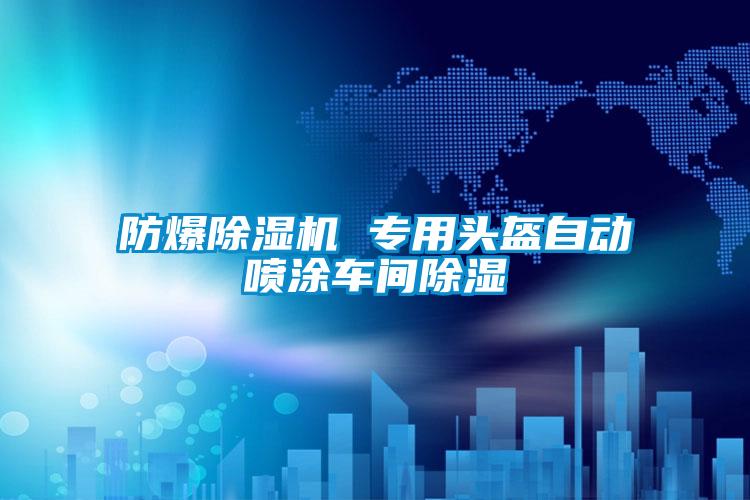 防爆除湿机 专用头盔自动喷涂车间除湿