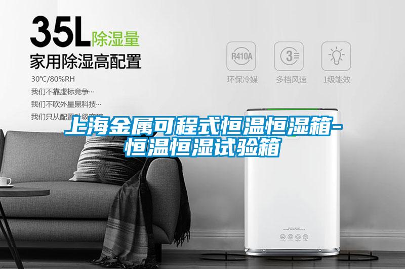 上海金属可程式恒温恒湿箱-恒温恒湿试验箱