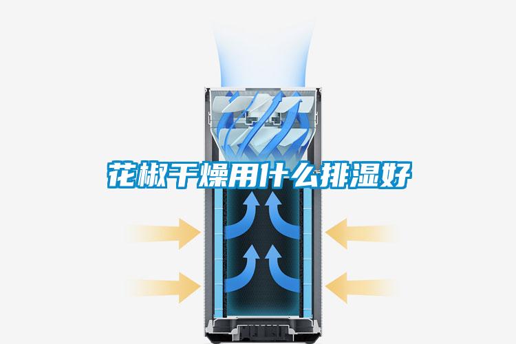 花椒干燥用什么排湿好