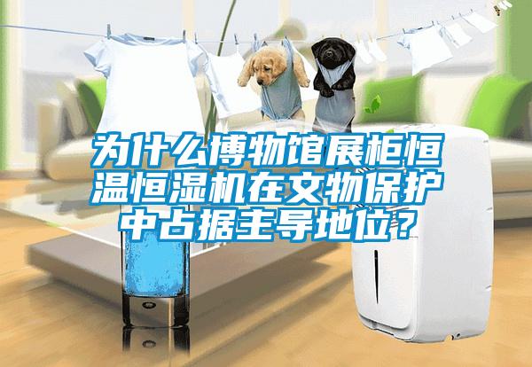 为什么博物馆展柜恒温恒湿机在文物保护中占据主导地位?