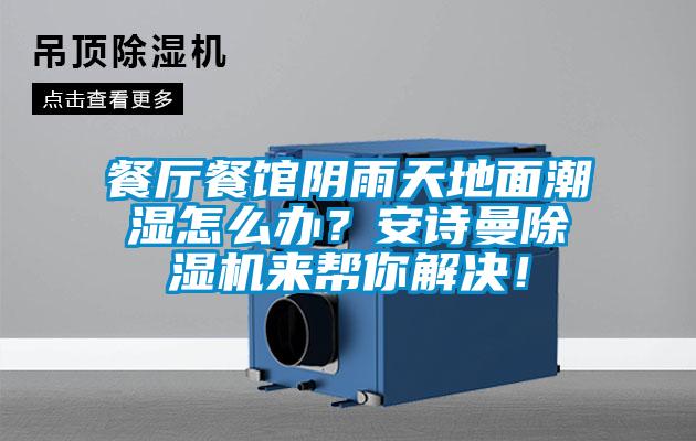 餐厅餐馆阴雨天地面潮湿怎么办？安诗曼除湿机来帮你解决！