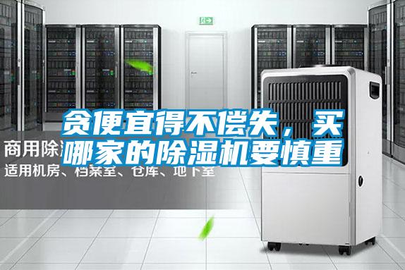 贪便宜得不偿失，买哪家的除湿机要慎重