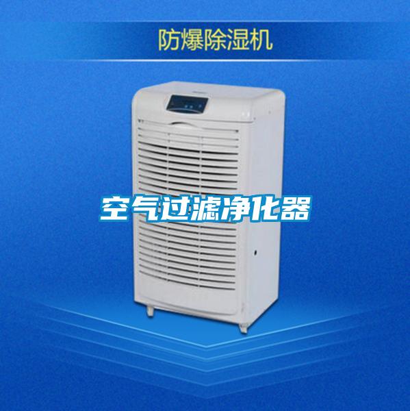 空气过滤净化器