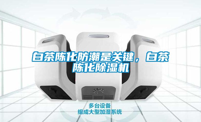 白茶陈化防潮是关键,白茶陈化除湿机