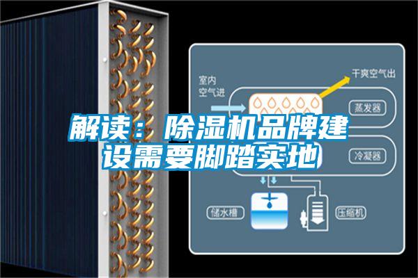 解读：除湿机品牌建设需要脚踏实地