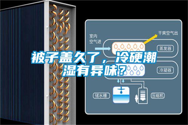 被子盖久了，冷硬潮湿有异味？