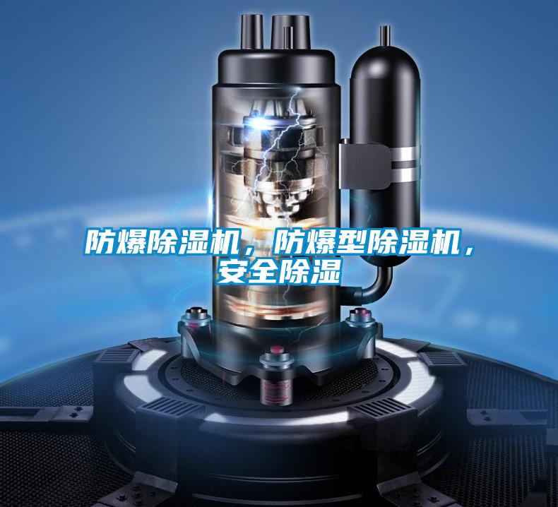 防爆除湿机，防爆型除湿机，安全除湿