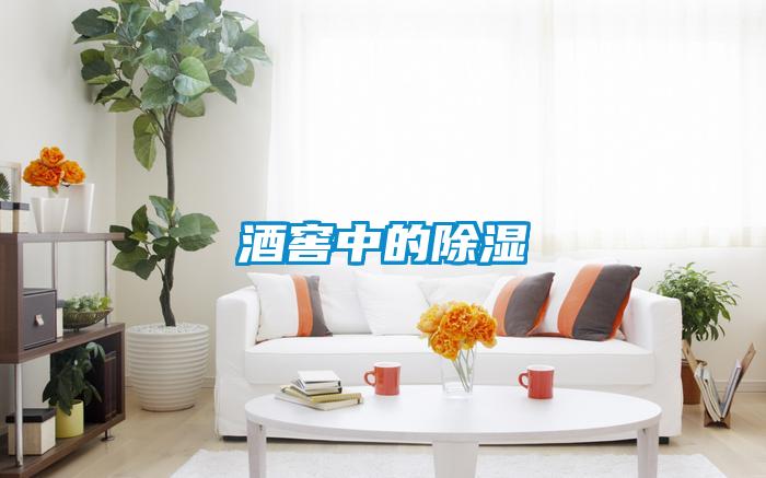 酒窖中的除湿