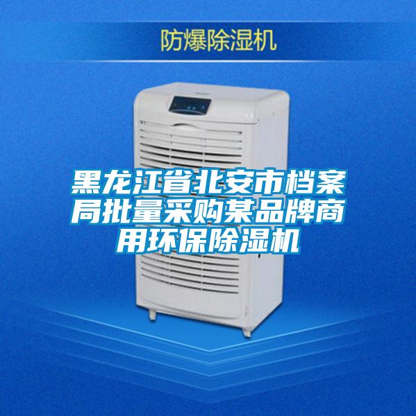 黑龙江省北安市档案局批量采购某品牌商用环保除湿机