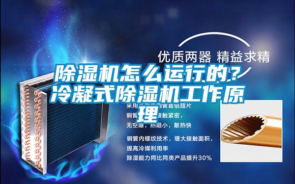 除湿机怎么运行的?冷凝式除湿机工作原理