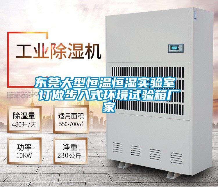 东莞大型恒温恒湿实验室 订做步入式环境试验箱厂家