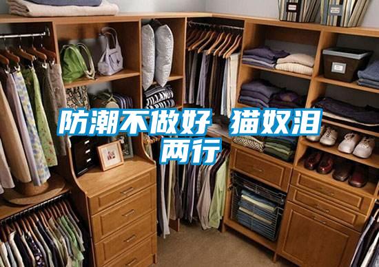 防潮不做好 猫奴泪两行