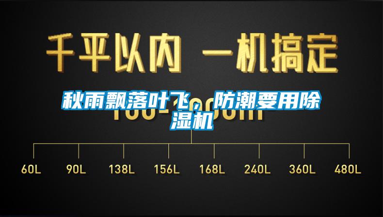 秋雨飘落叶飞，防潮要用除湿机