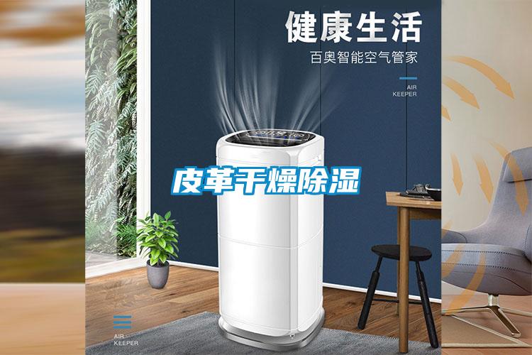 皮革干燥除湿