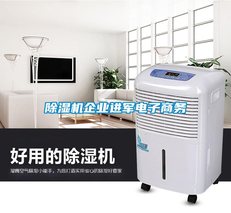 除湿机企业进军电子商务