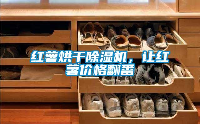 红薯烘干除湿机，让红薯价格翻番