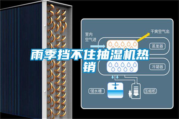 雨季挡不住抽湿机热销