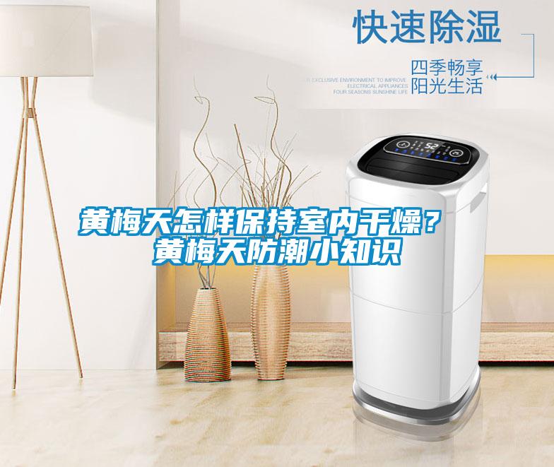 黄梅天怎样保持室内干燥？ 黄梅天防潮小知识