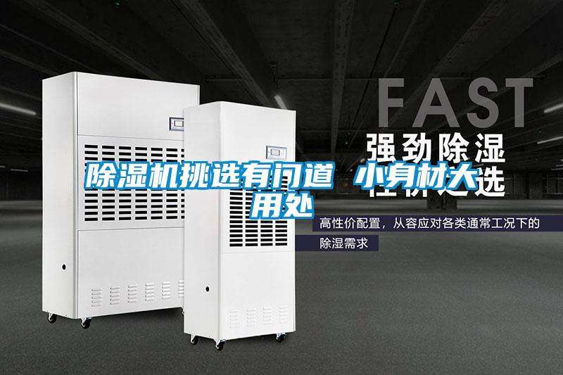 除湿机挑选有门道 小身材大用处