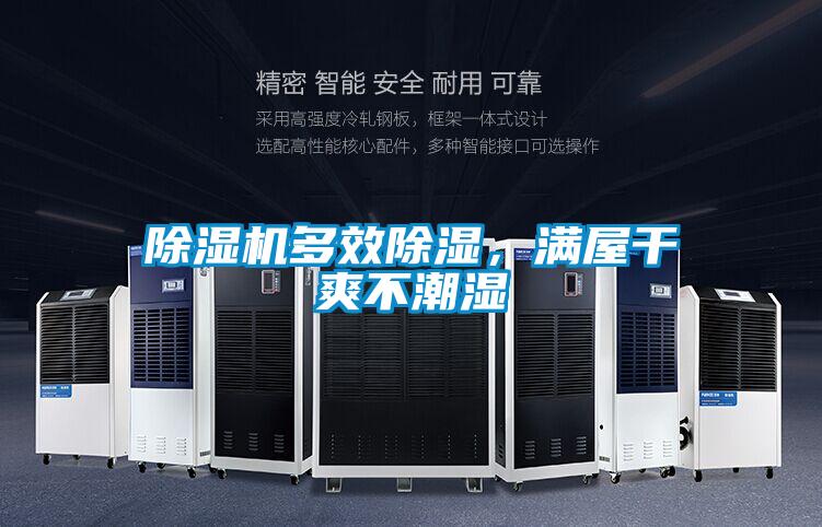 除湿机多效除湿，满屋干爽不潮湿