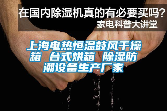 上海电热恒温鼓风干燥箱 台式烘箱 除湿防潮设备生产厂家