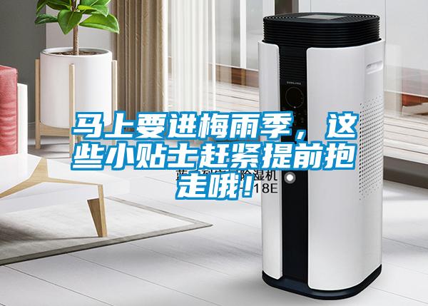 马上要进梅雨季，这些小贴士赶紧提前抱走哦！