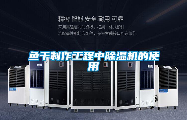 鱼干制作工程中除湿机的使用