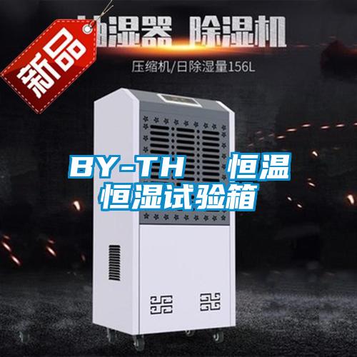 BY-TH  恒温恒湿试验箱