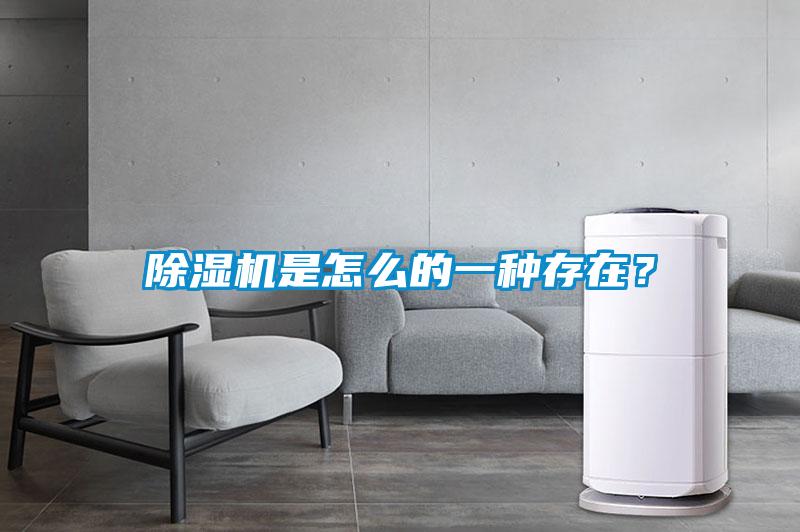 除湿机是怎么的一种存在？