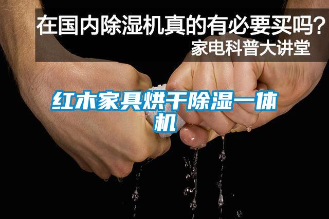 红木家具烘干除湿一体机