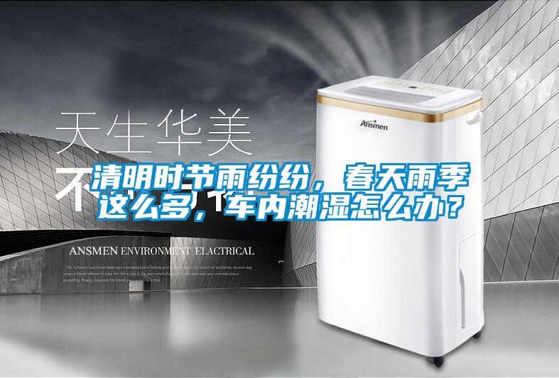 清明时节雨纷纷，春天雨季这么多，车内潮湿怎么办？