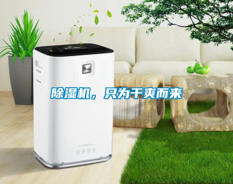 除湿机，只为干爽而来