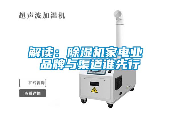 解读：除湿机家电业 品牌与渠道谁先行