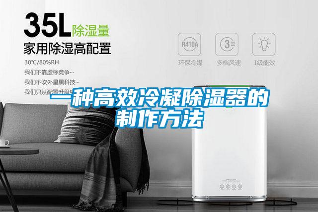 一种高效冷凝除湿器的制作方法