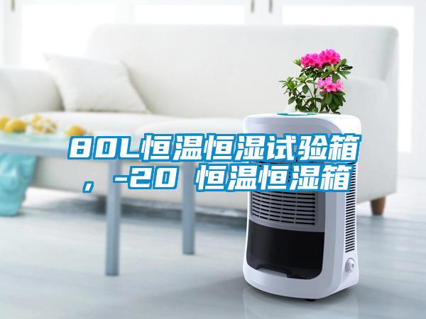 80L恒温恒湿试验箱，-20℃恒温恒湿箱
