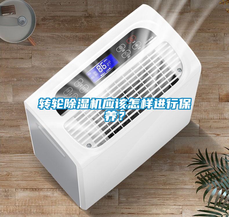 转轮除湿机应该怎样进行保养？