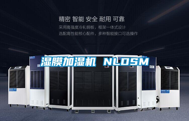 湿膜加湿机 NLDSM