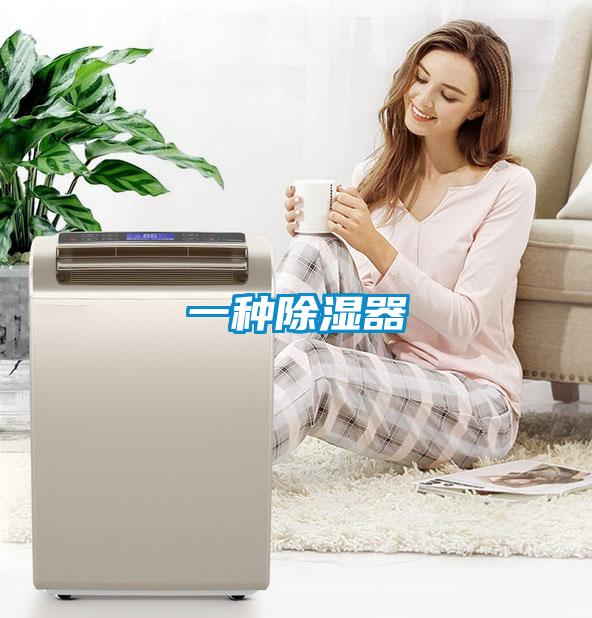 一种除湿器