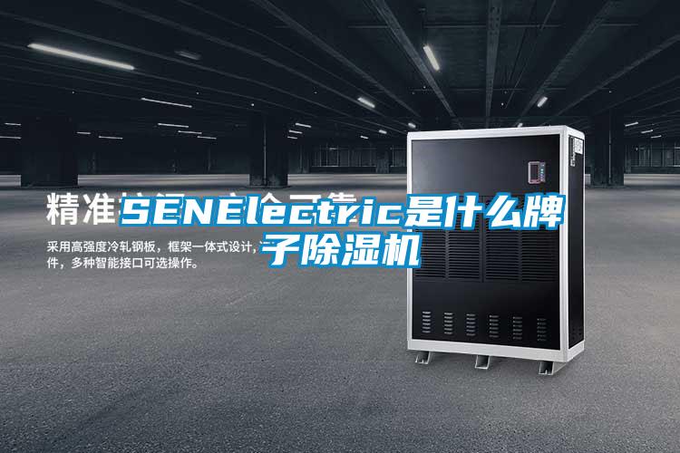 SENElectric是什么牌子除湿机