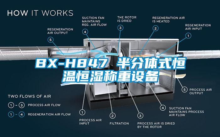 BX-H847 半分体式恒温恒湿称重设备