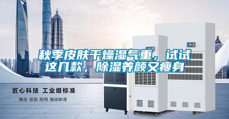 秋季皮肤干燥湿气重,试试这几款,除湿养颜又瘦身