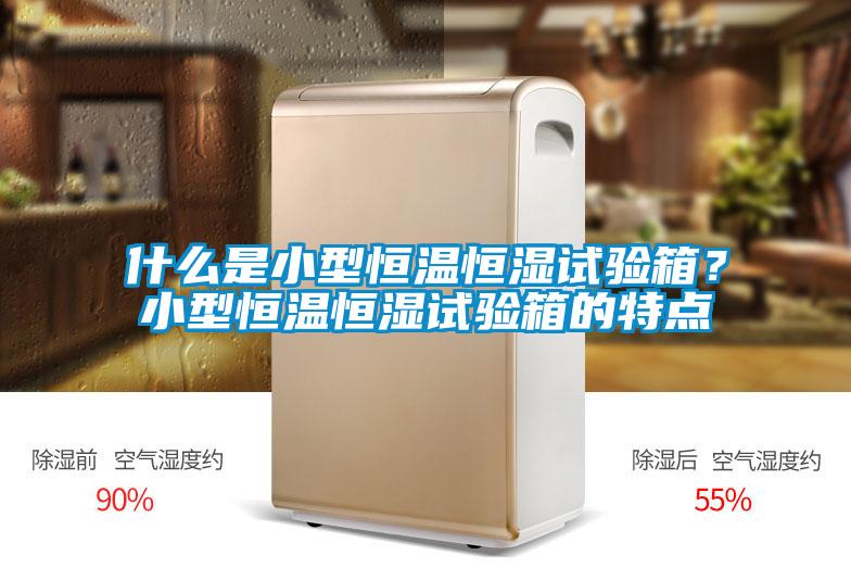 什么是小型恒温恒湿试验箱？小型恒温恒湿试验箱的特点