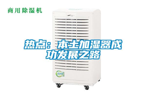 热点:本土加湿器成功发展之路