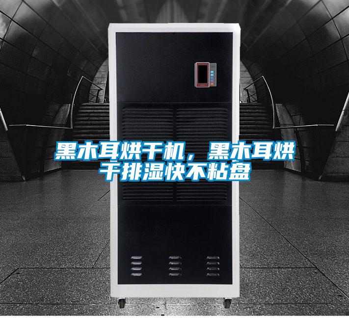 黑木耳烘干机，黑木耳烘干排湿快不粘盘