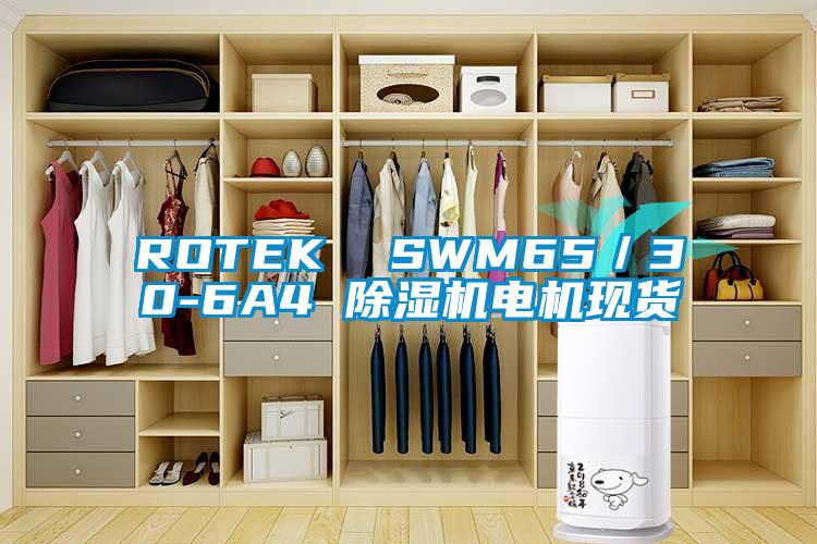 ROTEK  SWM65／30-6A4 除湿机电机现货