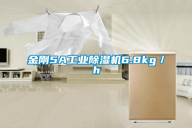金刚5A工业除湿机6.8kg／h