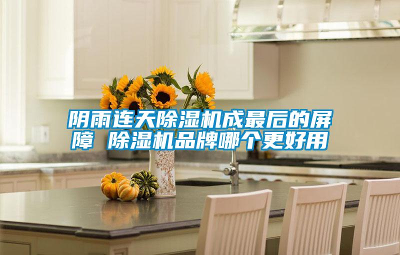 阴雨连天除湿机成最后的屏障 除湿机品牌哪个更好用
