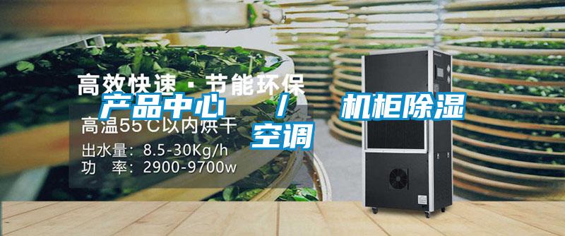 产品中心 / 机柜除湿空调